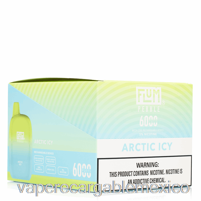 Vape Recargable [paquete De 10] Flum Pebble 6000 Desechable